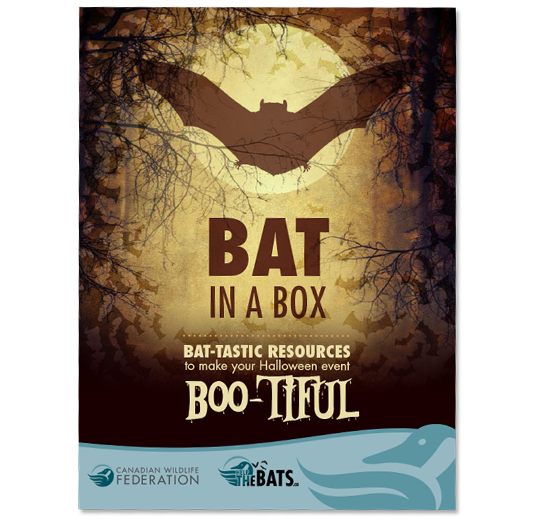 Bat in a box poster