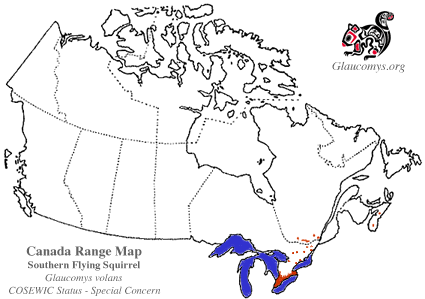 Flying squirrel map 2