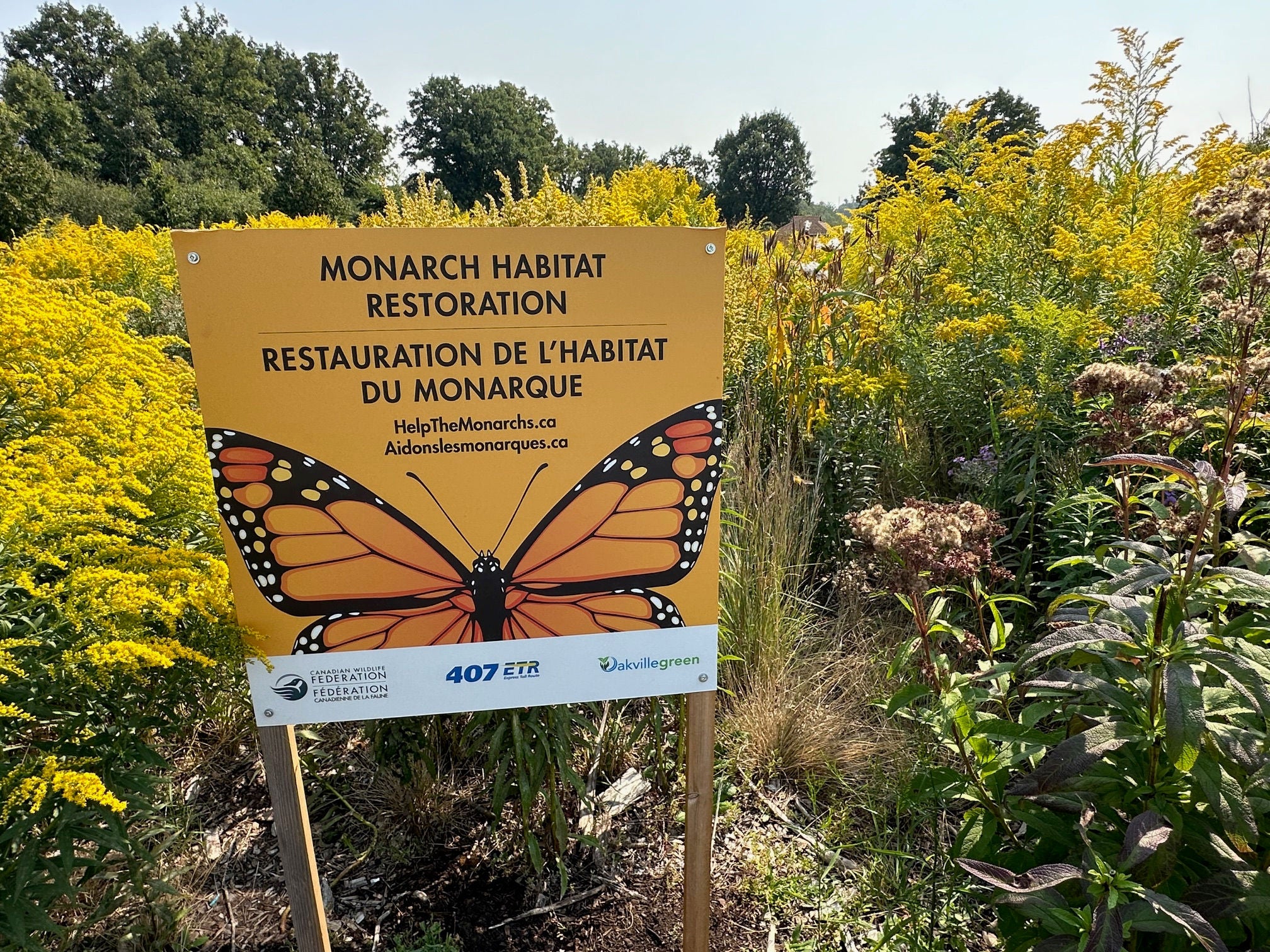 monarch sign