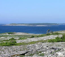 Limestone barrens at Bird Cove