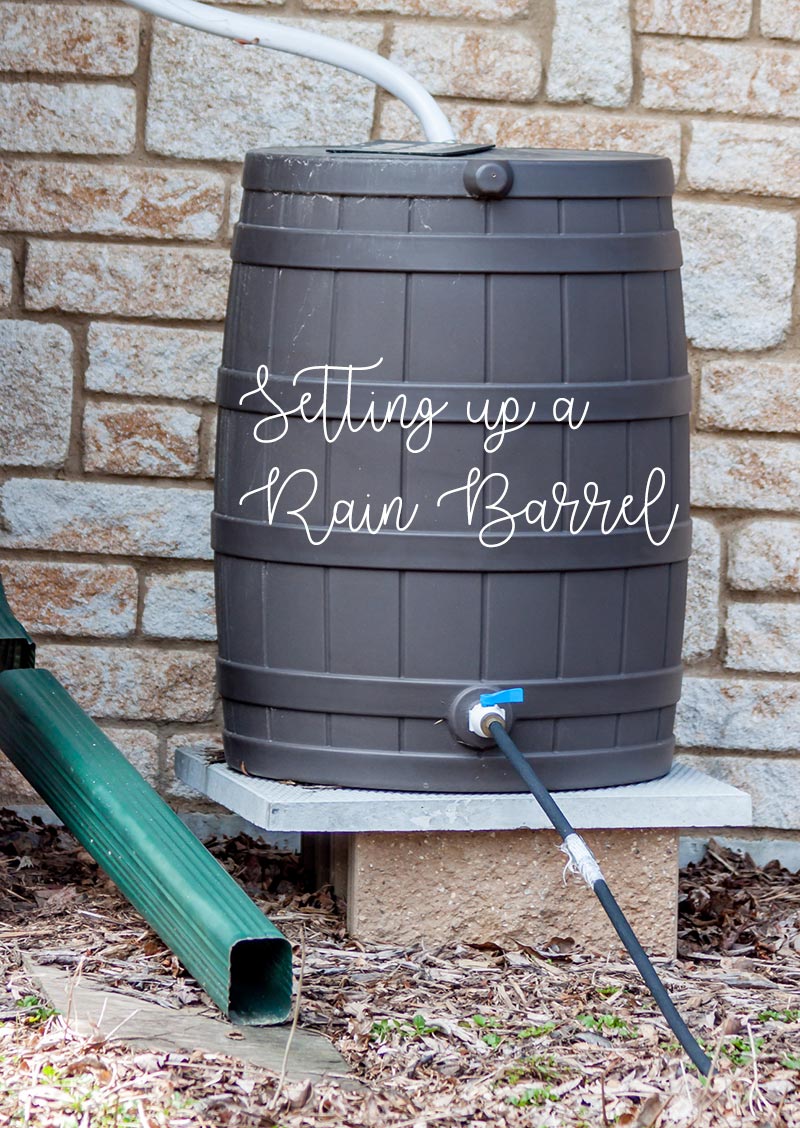 rain barrel