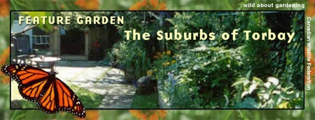 Suburb Torbay Header