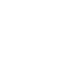 whale icon