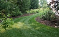 CWF's lawn is green with minimal maintenance