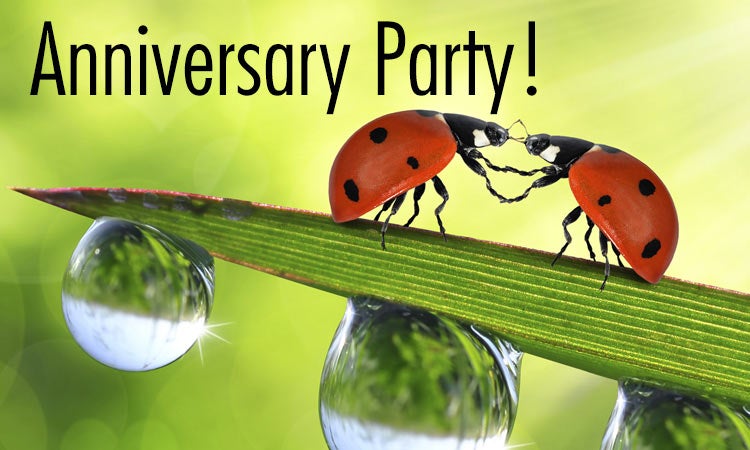 anniversary header ladybug