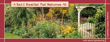 Bed and Breakfast Header