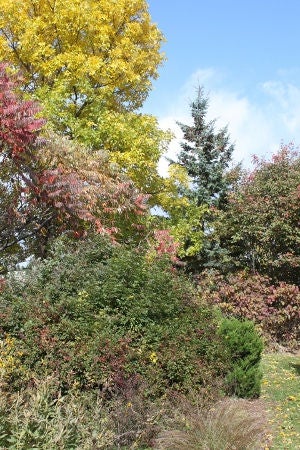 transitional areas - edges