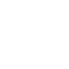 butterfly icon