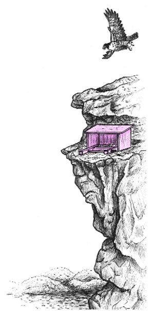 Peregrine falcon boxes