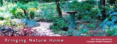 Bringing Nature Home Header