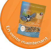Bird seed on sale now button