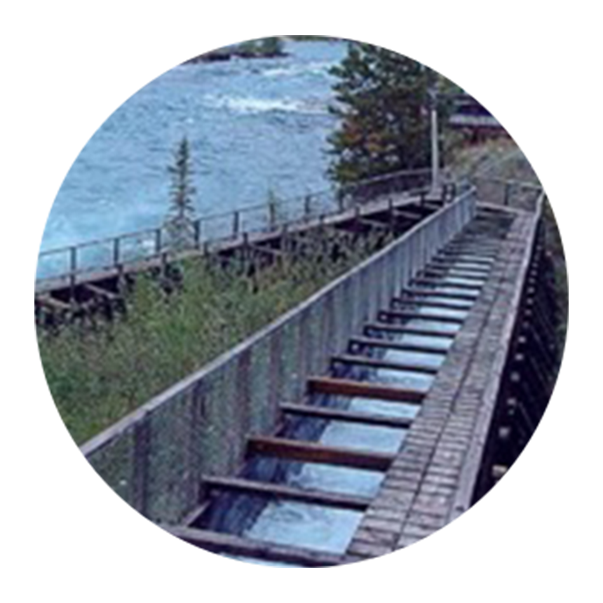 fish passage