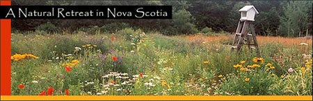 Natural Retreat Header