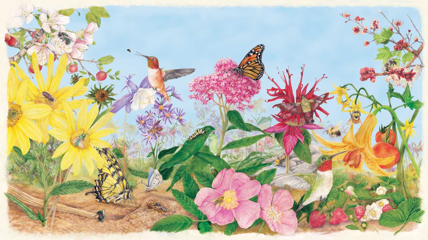 Pollinator poster