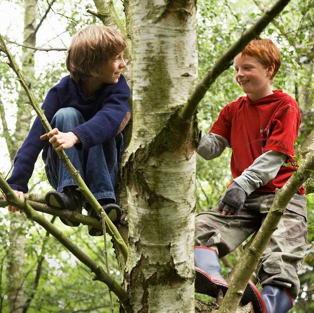 kids playing in tree outside
