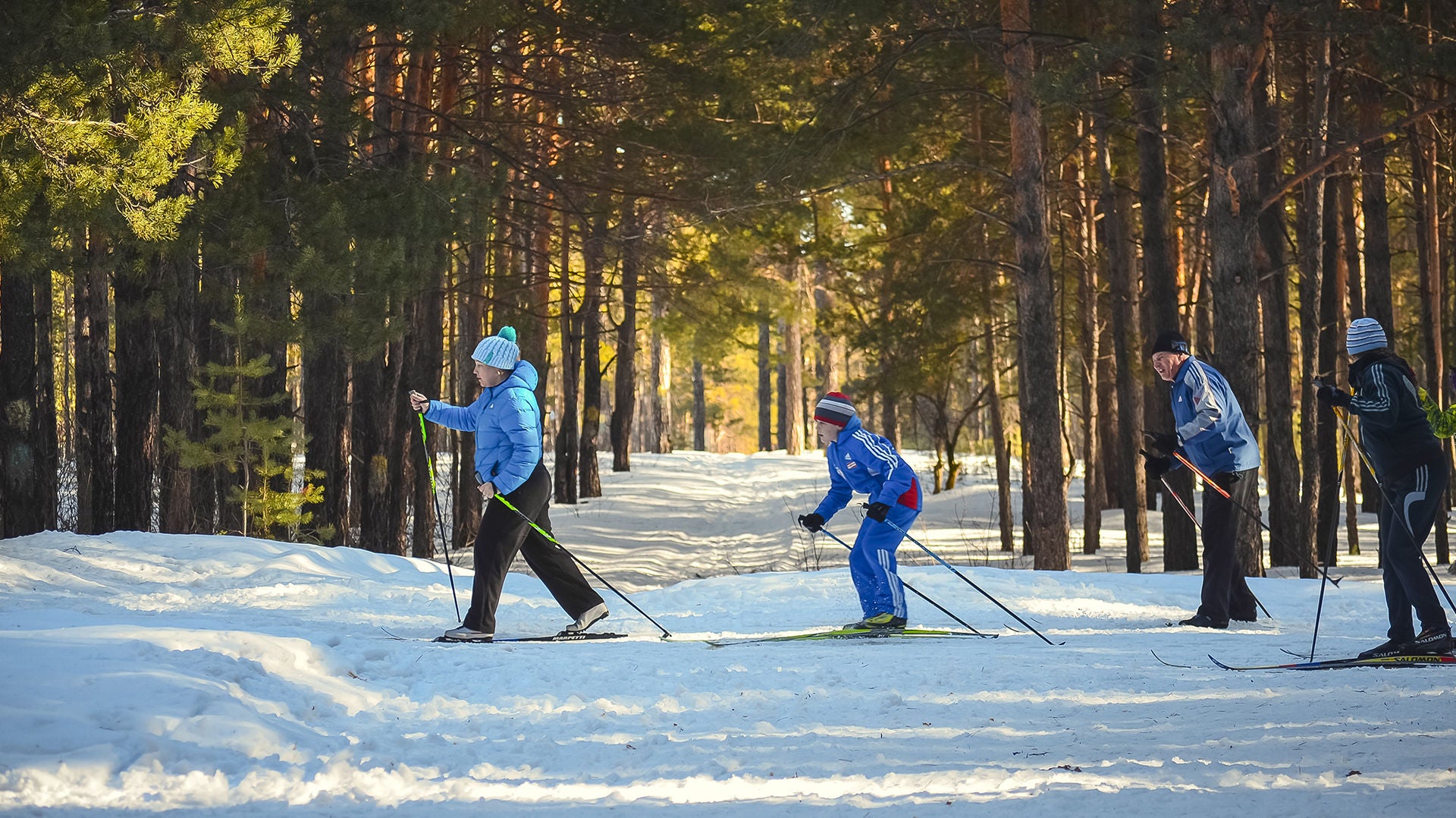 skiing sport people forest 