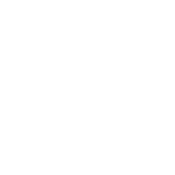 circle with earth icon