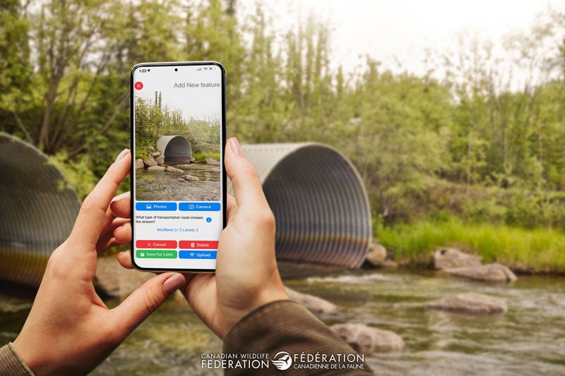 App and Culvert