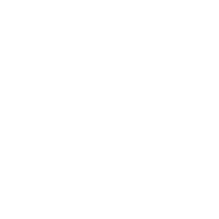 birds icon