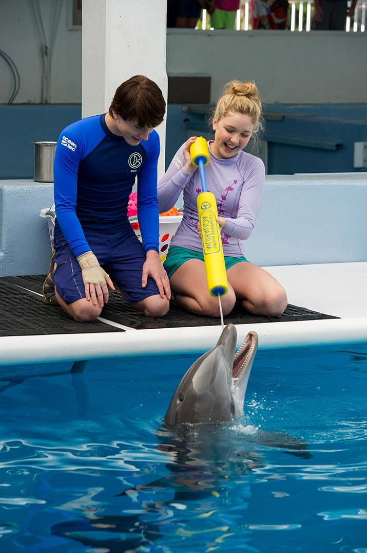 Actors with dolphin