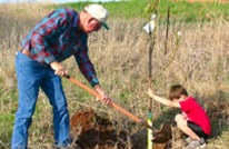 Father and son planting tree
