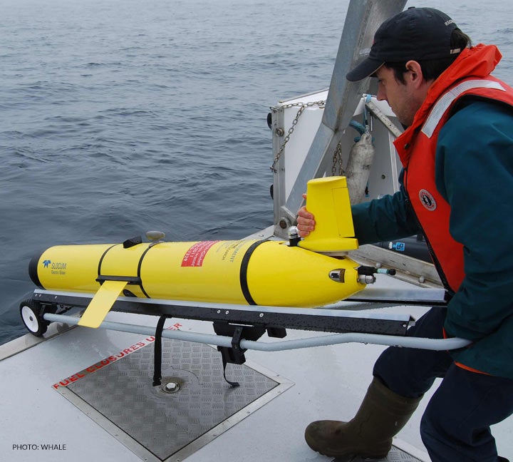 canadian marine animal response alliance