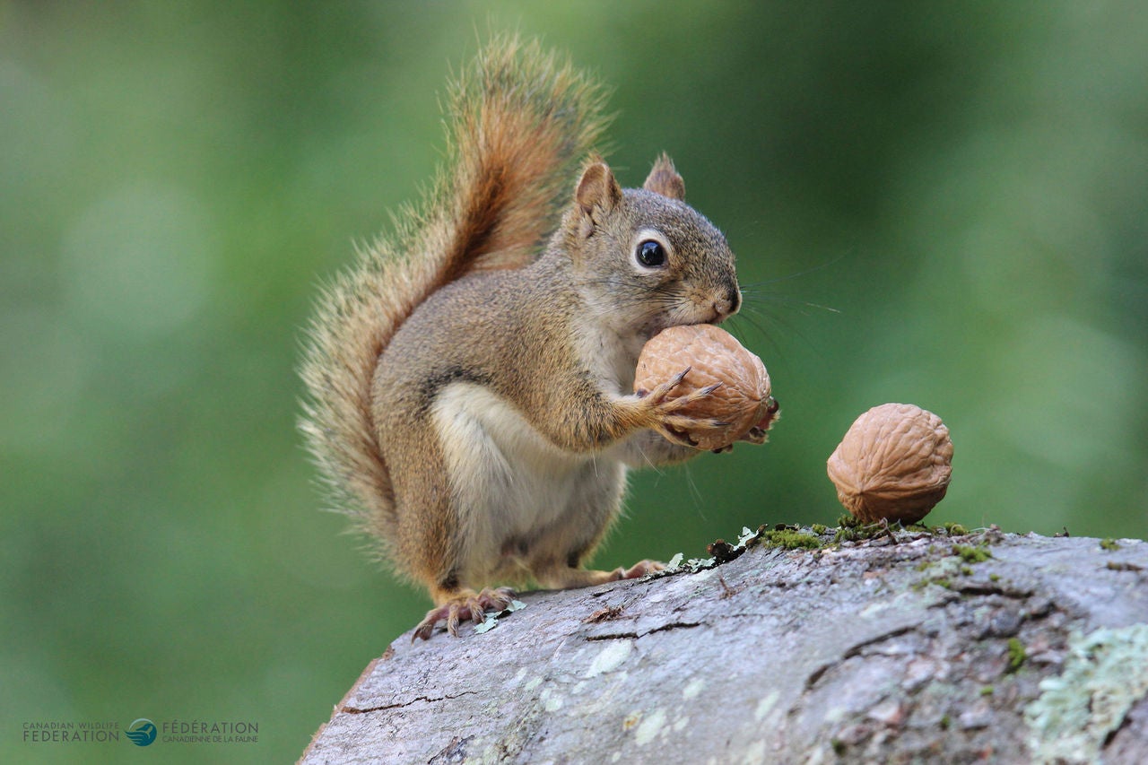 Faites un don dès aujourd’hui
