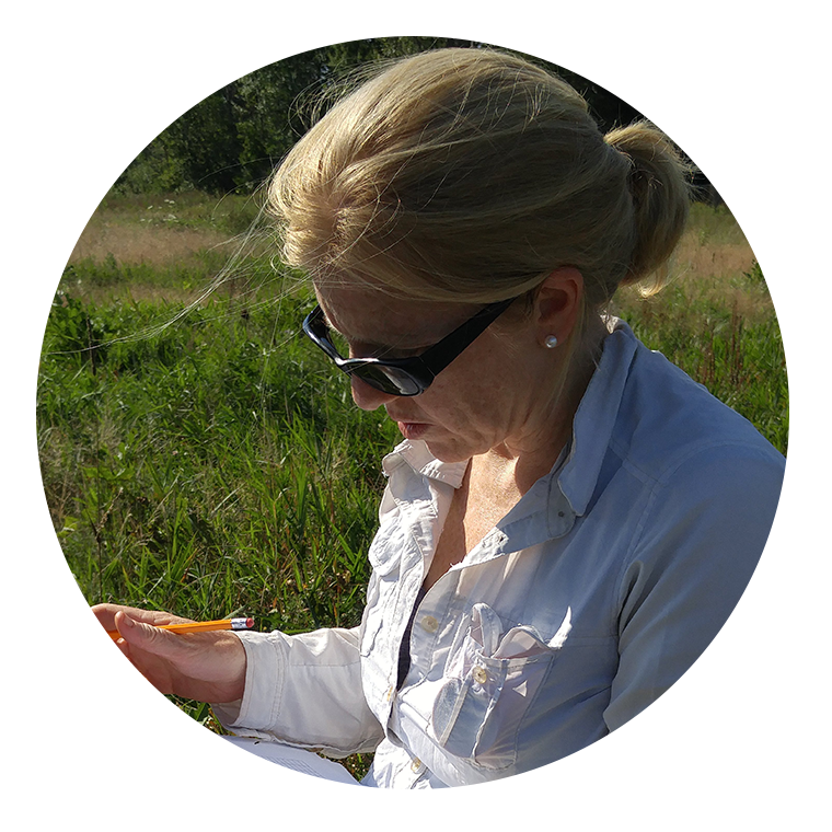 holly bickerton profile image