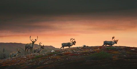 Kamestastin On the Move