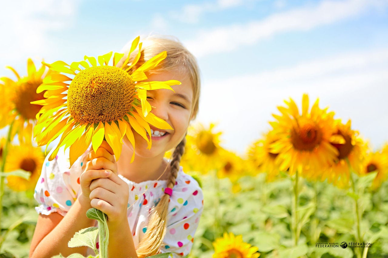 child with sunflower