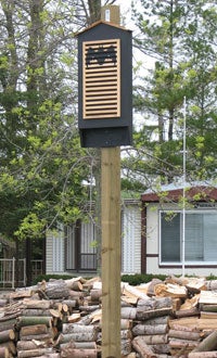 bat house