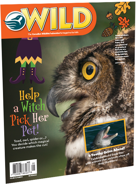 wild magazine cover