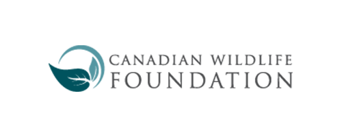 foundation logo