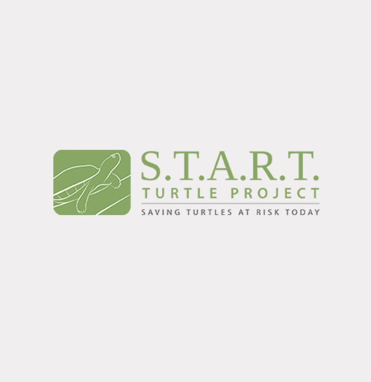 start logo green