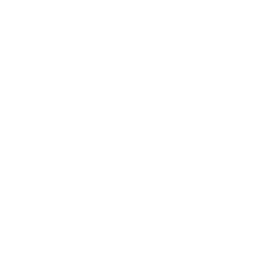 butterfly icon