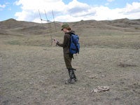 Tracking Racer snake 