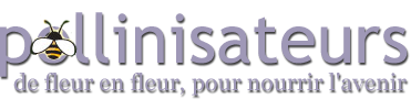 pollinisateurs pollinators title fr