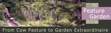 Cattle Pasture Header