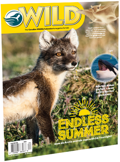 wild magazine cover