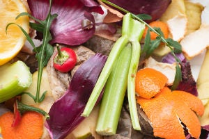 kitchen scraps for the composter
