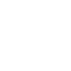 news icon
