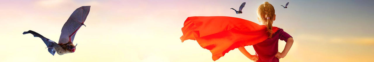 header.jpg