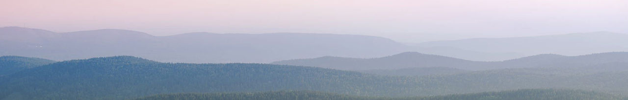 boreal-forest-header.jpg