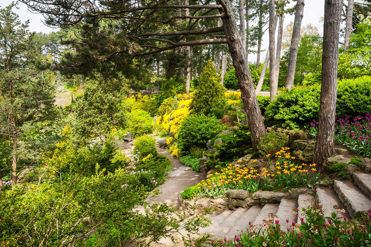 botanical garden ontario