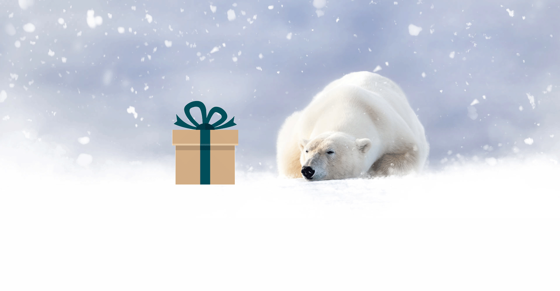 polar bear gift moving