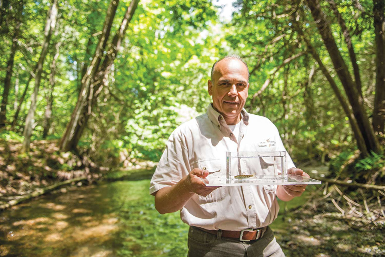 Lake Ontario Atlantic Salmon Restoration