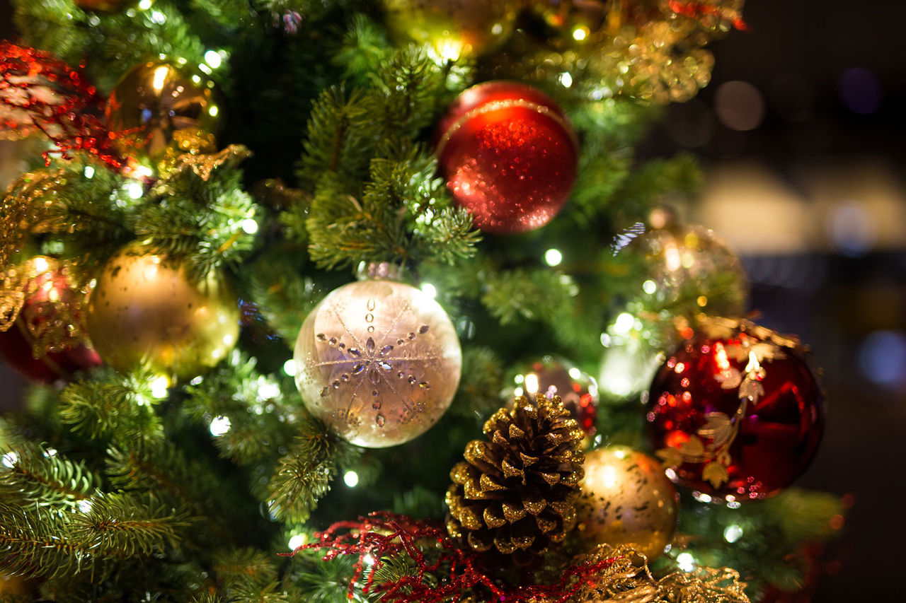 christmas tree close