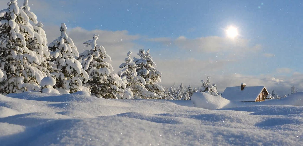 snow field
