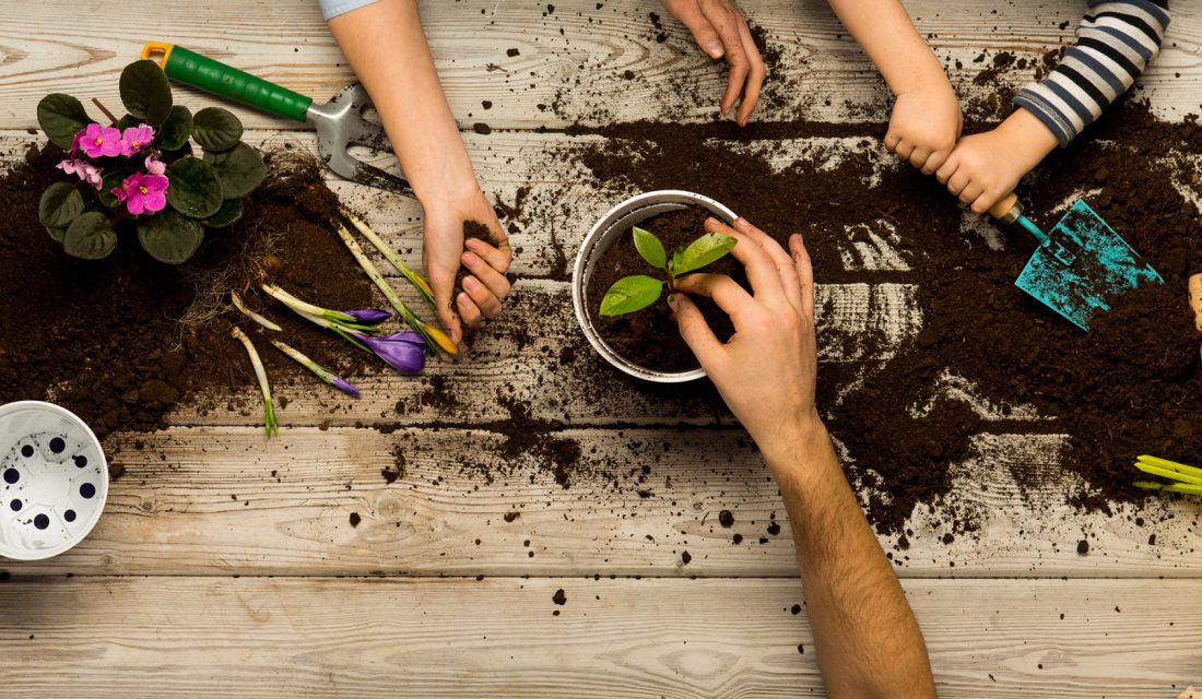 kids parent gardening hands