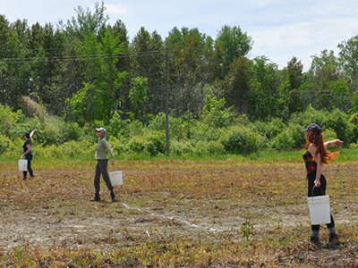 casting seeds in meadow 